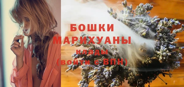 амф Горняк