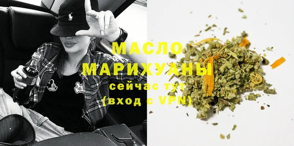 амф Горняк