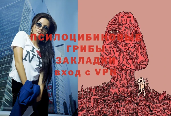 стаф Горно-Алтайск
